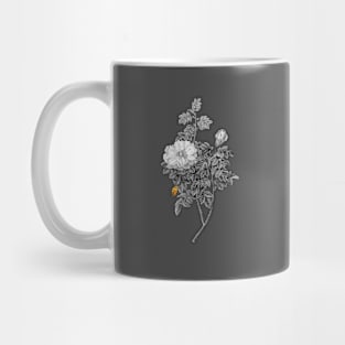 Black and Gold Leaf - Blooming Ventenat's Rose - Vintage Botanical Mug